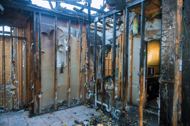Professional Soot Cleanup technician working in Goreville, IL